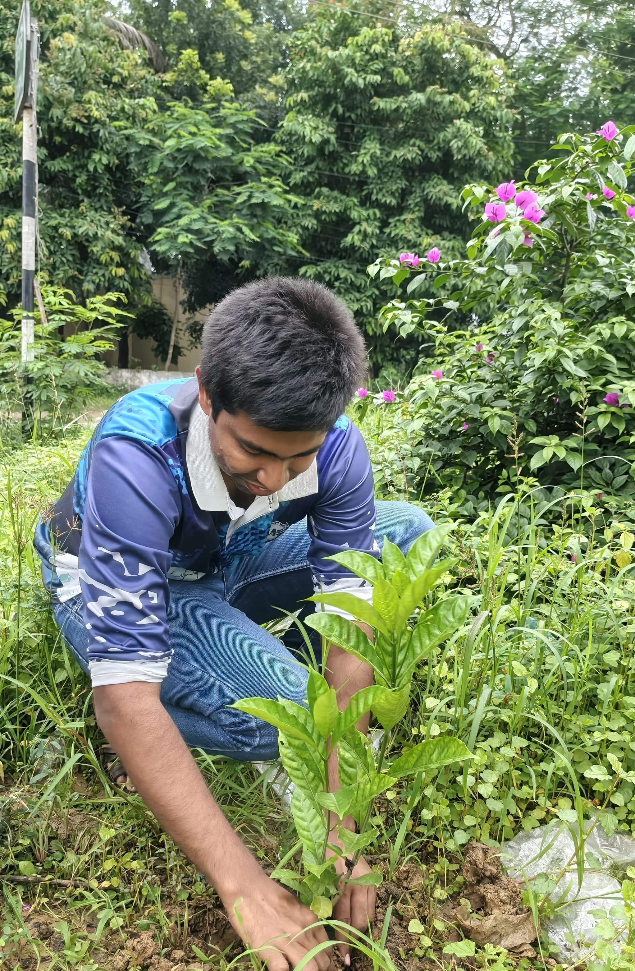 GreenVerse tree plantation volunteers